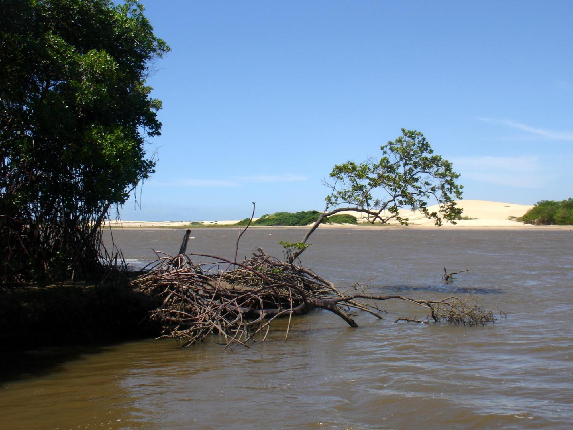 Pousada Barra Do Mundaú 外观 照片