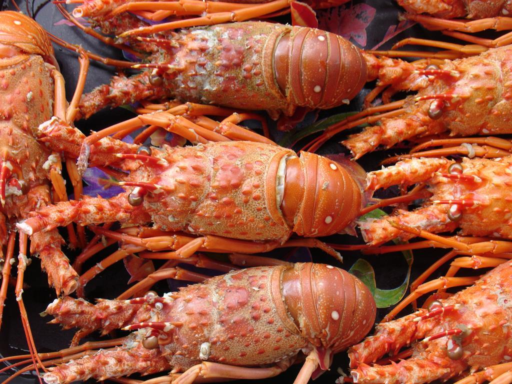 Pousada Barra Do Mundaú 外观 照片